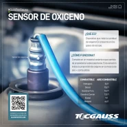 Averías más comunes en el sensor de oxigeno (sonda lambda)