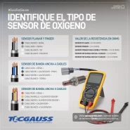 Identifique el sensor de oxígeno